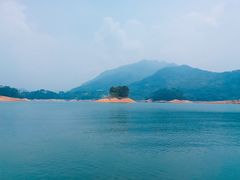 -广州市流溪河国家森林公园