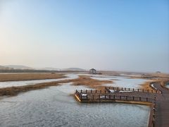 -南大港湿地风景区