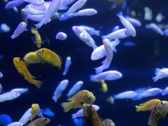 -成都浩海立方海洋公园