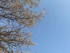 -铁道游击队纪念馆