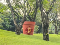 -云溪植物园