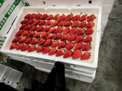 -西郊国际农产品交易中心