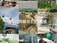 -栾川竹海野生动物园