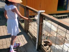 -前小桔亲子创意农场·草莓采摘·露营烧烤