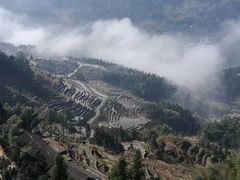 -紫鹊界梯田景区