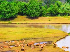 -溱湖国家湿地公园