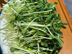 -大白羊蝎子馆(后沙峪山姆店)