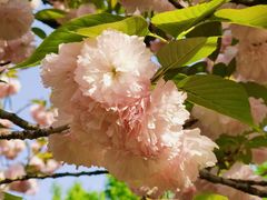 -苏州河梦清园环保主题公园