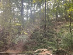 -波尔登森林公园