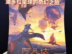 -华谊兄弟影院(IMAX洋桥店)