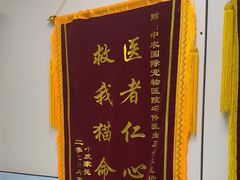 -中农国际动物医院24小时·猫科·骨科·急重症中心