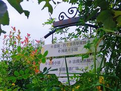 -紫颐香薰山谷景区