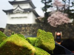 -名古屋城