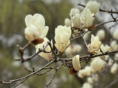 -白塘生态植物园
