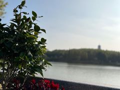-宜兴龙背山森林公园