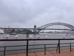 -悉尼海港大桥