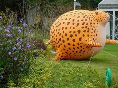 -金鸡湖桃花岛