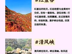 -石家庄市植物园
