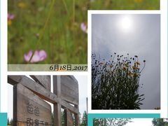 -前小桔亲子创意农场·草莓采摘·露营烧烤