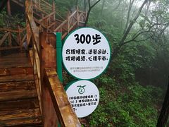 -大岭沟猕猴桃谷风景区