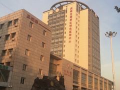 -中国人民解放军第九医学中心(306医院)