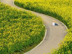 -中国天府农业博览园