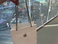 -Apple零售店(天环广场店)