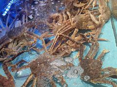 -阿伟海鲜楼·福建菜(延寿店)