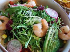 牛油果虾仁沙拉-HFFOUSA TACO弗萨塔可墨西哥餐厅(颐堤港店)