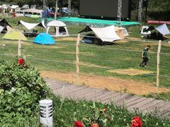 -武陵山森林公园