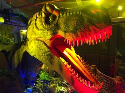 -恐龙探索乐园(磁器口店)