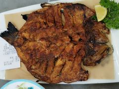 -丽泽山庄·生态怀柔菜·虹鳟鱼(红螺寺店)