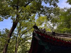 -红螺寺