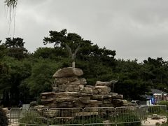 -长春市南湖公园