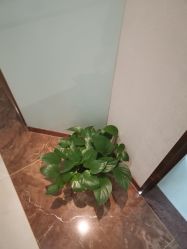 -丽美妍医疗美容·皮秒·立体分层抗衰