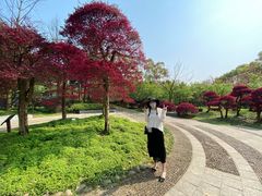 -南山植物园