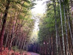 -苏州环秀晓筑养生度假村