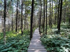 -白草畔自然风景区