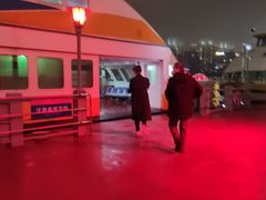 -摆渡站(董家渡站)