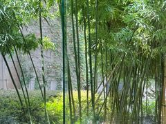 -杭州君悦酒店·湖滨28中餐厅