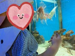 -荆州中山公园动物园