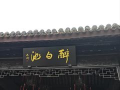 -上海醉白池公园