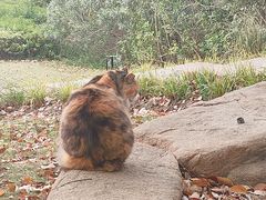 -华东政法大学(松江校区)