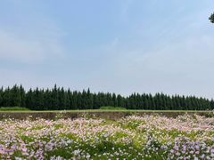 -汉长安城未央宫国家考古遗址公园