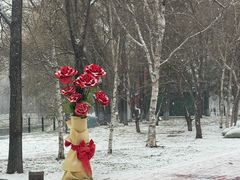 -黛秀湖公园