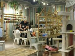 大堂-小时光咖啡馆(开森度假森林店)