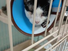 -嘉馨宠物医院·CT影像转诊·心脏科·犬猫全科诊疗中心(下沙大学城院区)