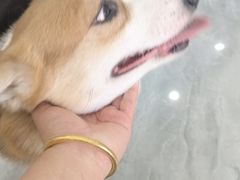 -美联众合动物医院(唯恩分院)