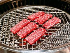 -火浪壹 by tigergrill(33小镇店)