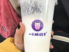 -一只酸奶牛(八一路店)